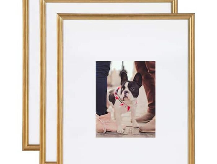 Adlynn 16 in. x 20 in. matted to 8 in. x10 in. Gold Picture Frames (Set of 3)
